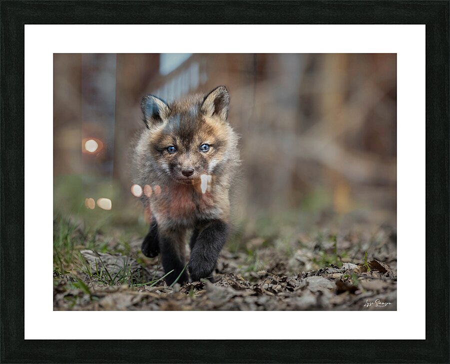 Espiegle Picture Frame print