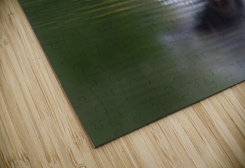 Bye Bye Lyse Samson Photography puzzle