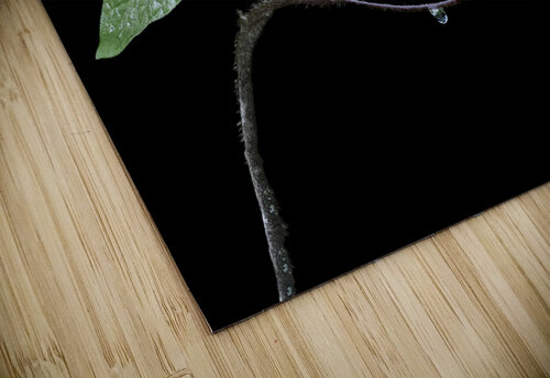Au repos Lyse Samson Photography puzzle