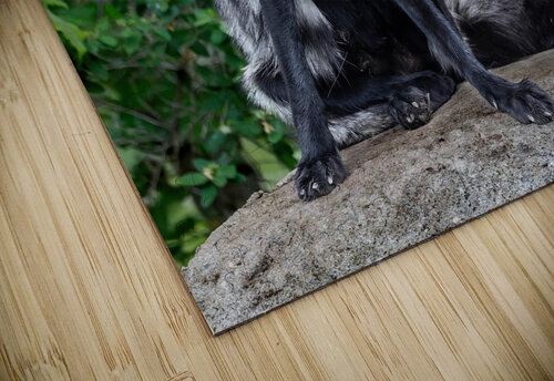 Le grimacier Lyse Samson Photography puzzle