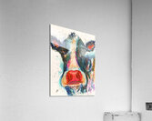 Curious Cow Acrylic Print