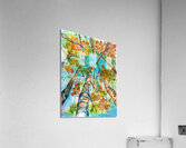 Look Up Acrylic Print