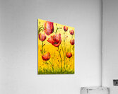 Poppies Acrylic Print