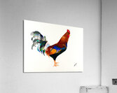 Debbys  Red Rooster Acrylic Print