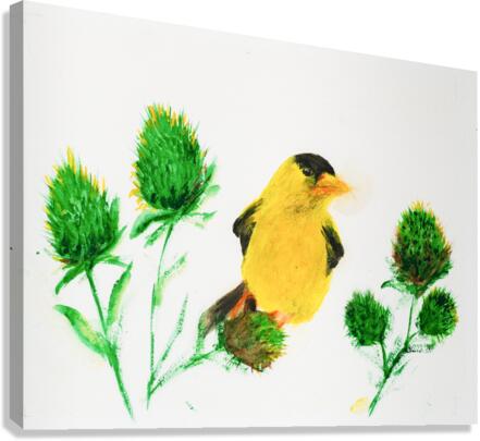 Yellow Finch Canvas Print