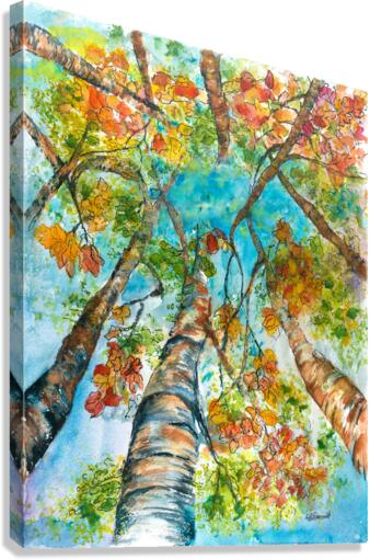 Look Up Canvas Print