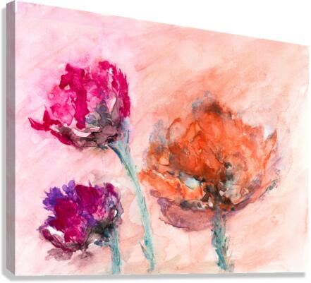 Three flowers Canvas Print