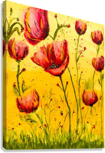 Poppies Canvas Print