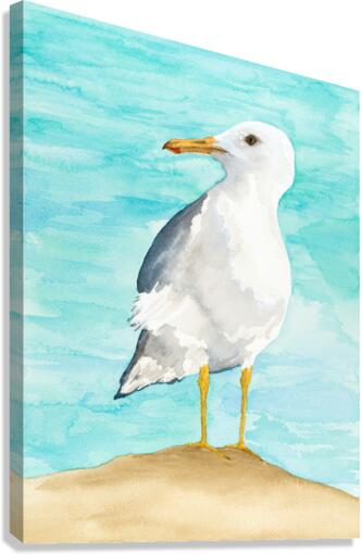 Debbys Seagull Canvas Print