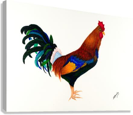 Debbys  Red Rooster Canvas Print