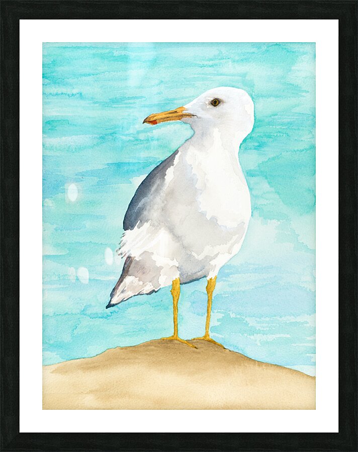 Debbys Seagull Picture Frame print