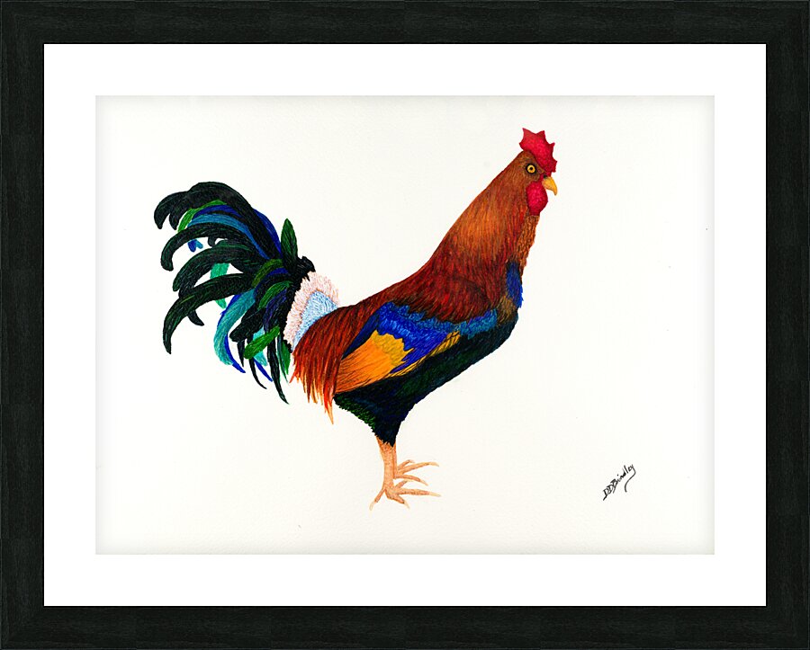 Debbys  Red Rooster Picture Frame print