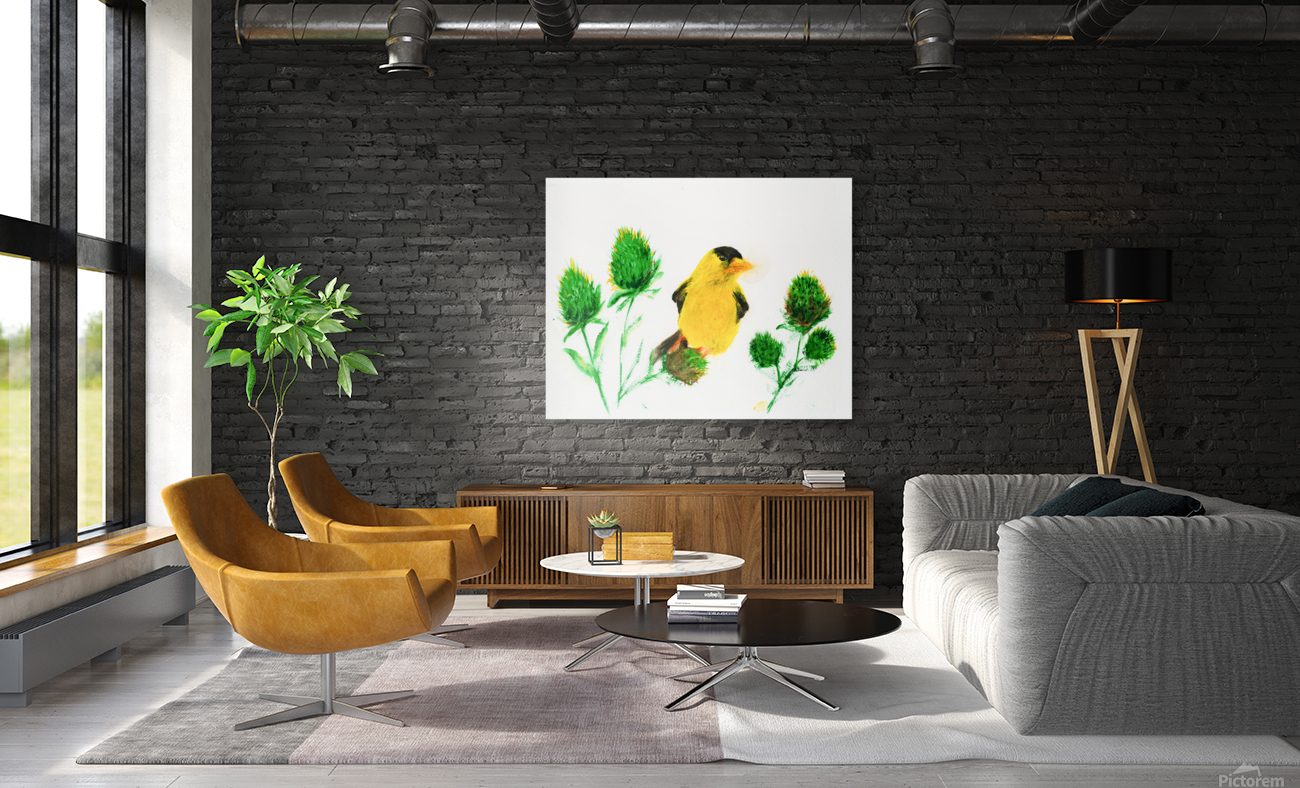Yellow Finch Reproduction