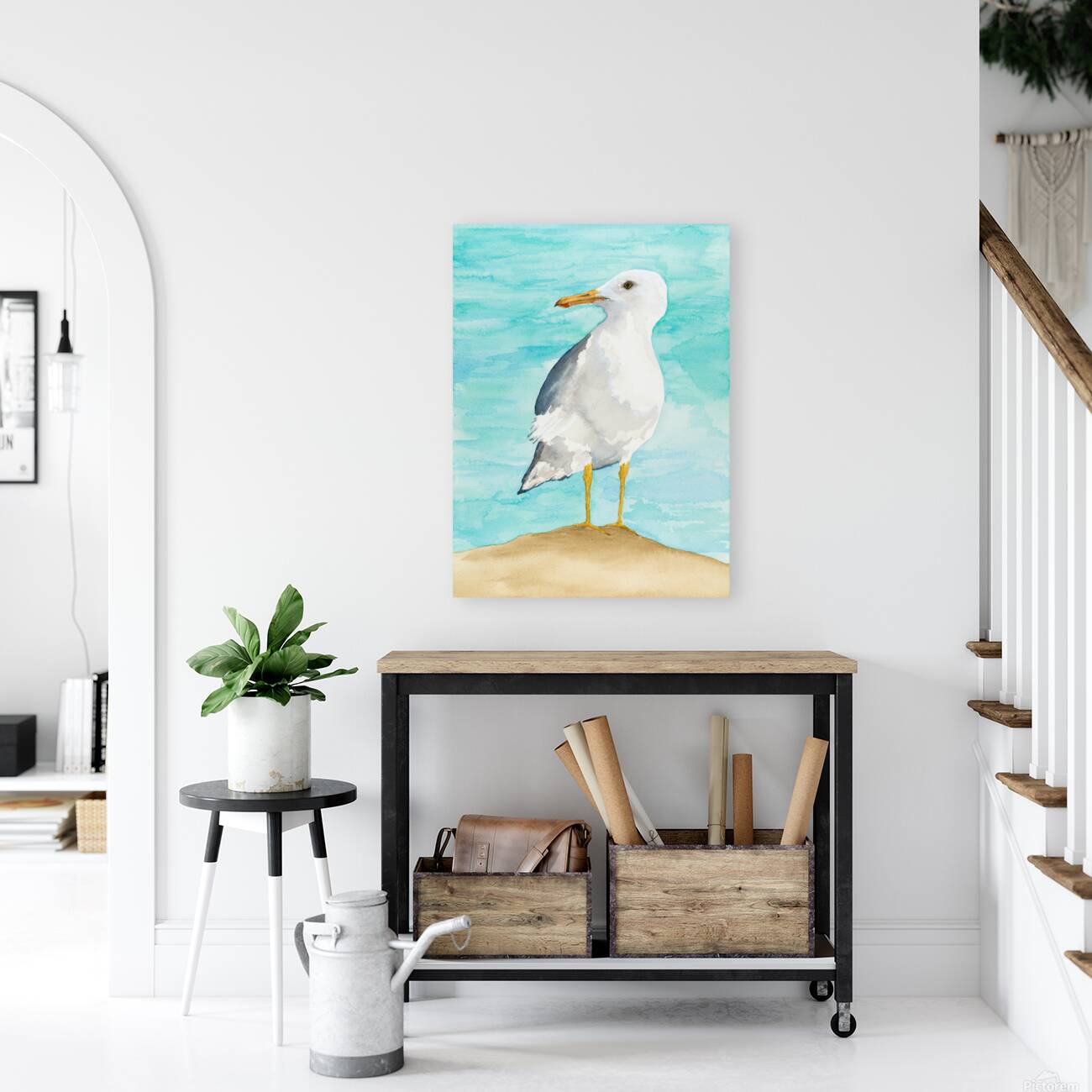 Debbys Seagull Reproduction