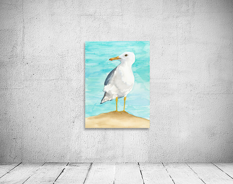 Debbys Seagull Wall Preview