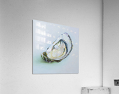 Oyster Acrylic Print