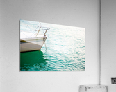 Trip Acrylic Print