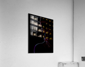 Woman Acrylic Print