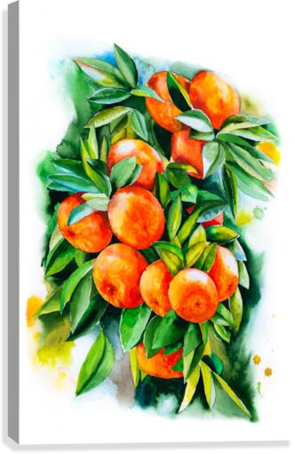 Watercolor oranges Canvas Print