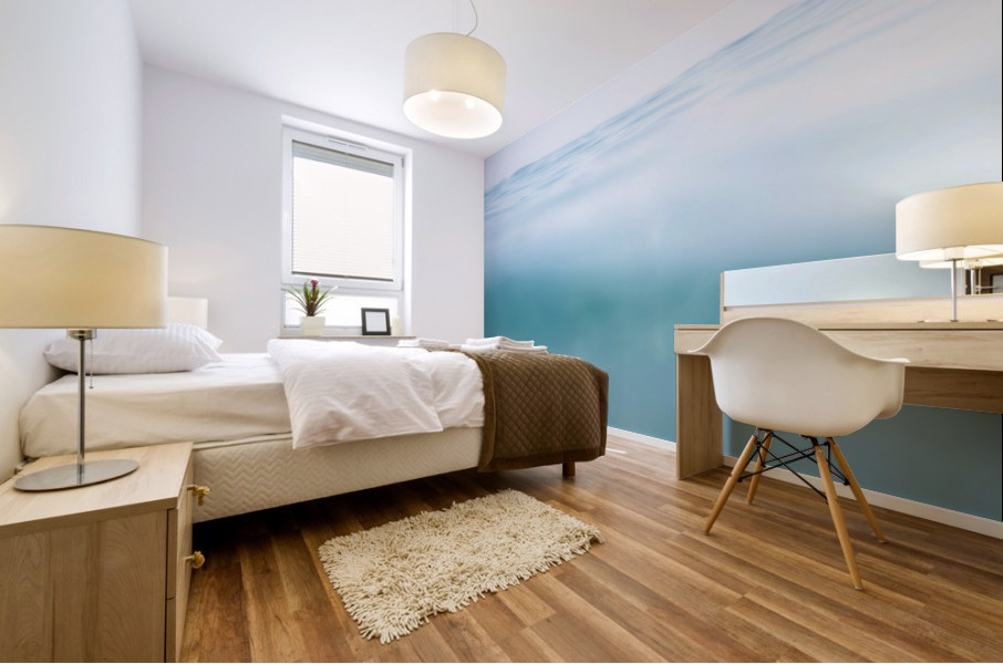 Deep calm sea Mural print