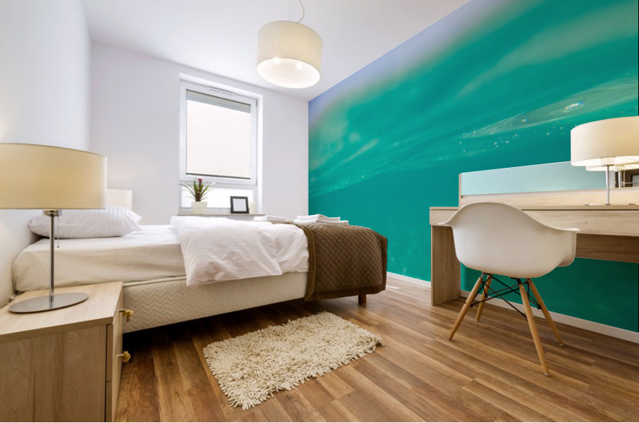 Under water Mural print