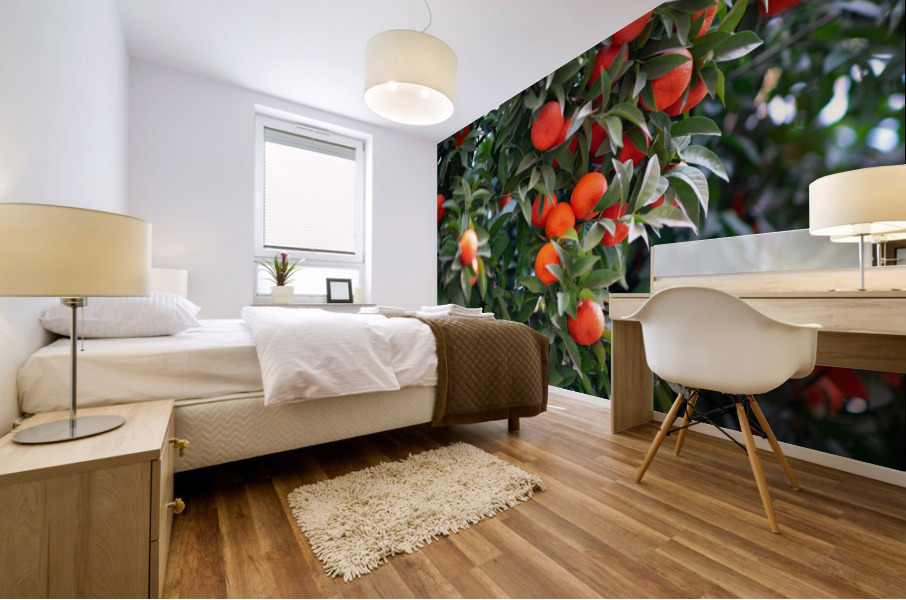 Orange tree III Mural print