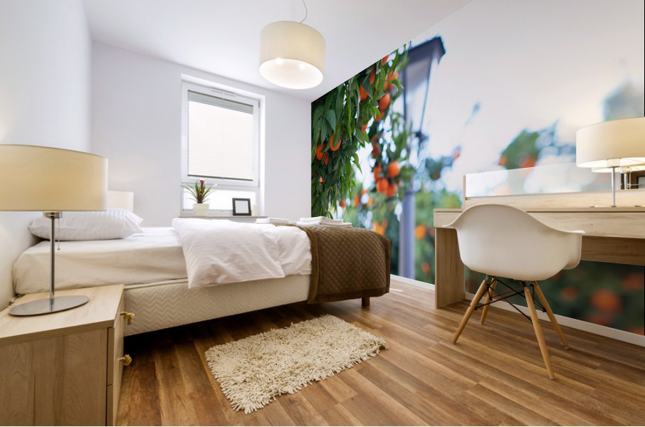 Orange tree IV Mural print
