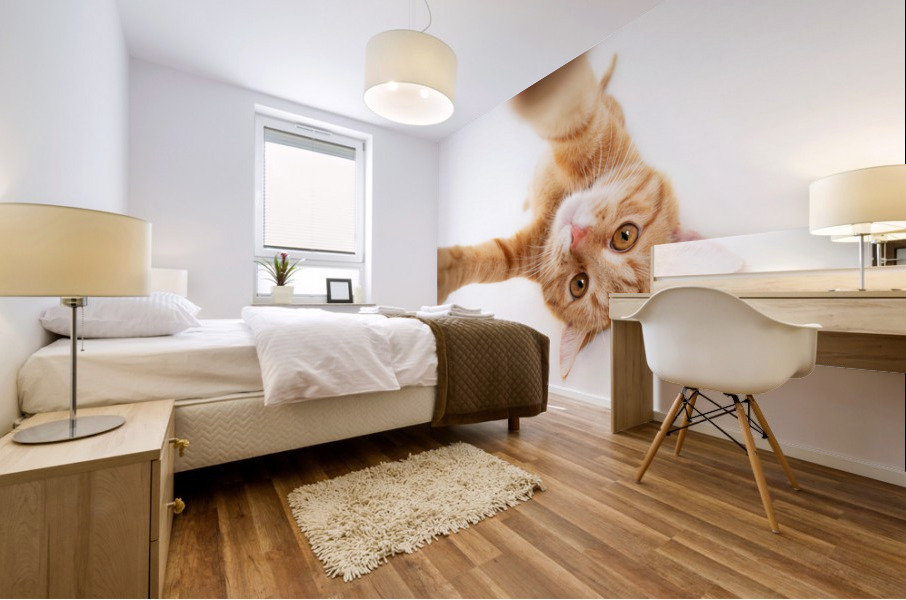 selfie cat Mural print