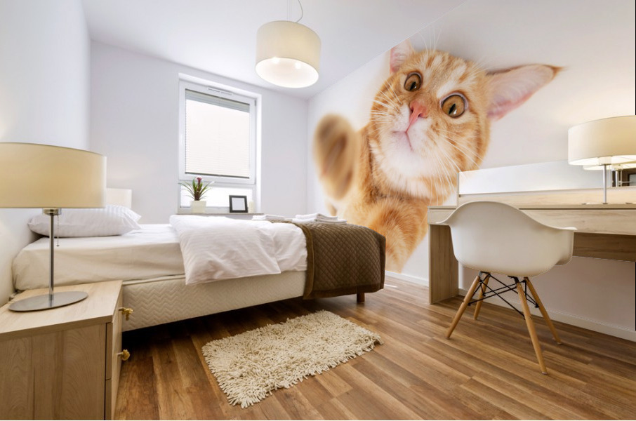 selfie cat II Mural print