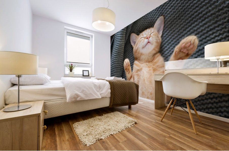 Red kitten sleeps II Mural print