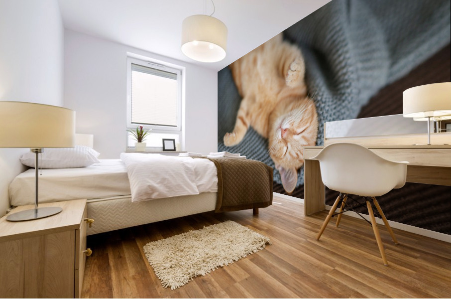 Red kitten sleeps Mural print