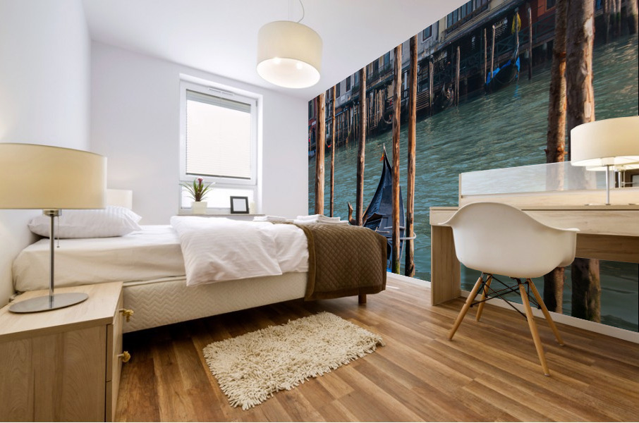 Venice II Mural print