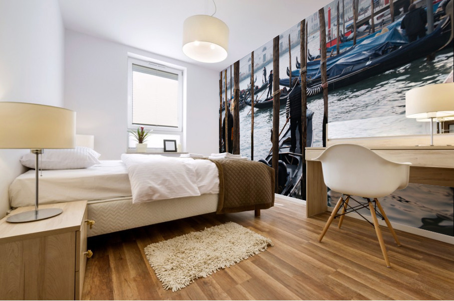 Venice IX Mural print