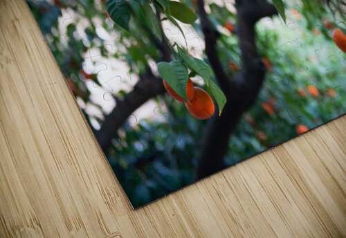 Orange tree Aquamarine puzzle
