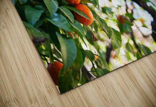 Orange tree II Aquamarine puzzle