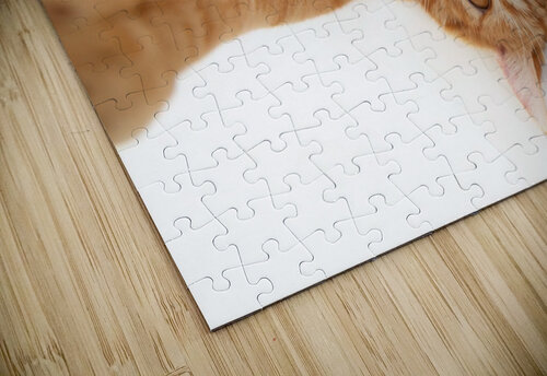 selfie cat Aquamarine puzzle