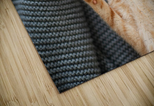 Red kitten sleeps II Aquamarine puzzle
