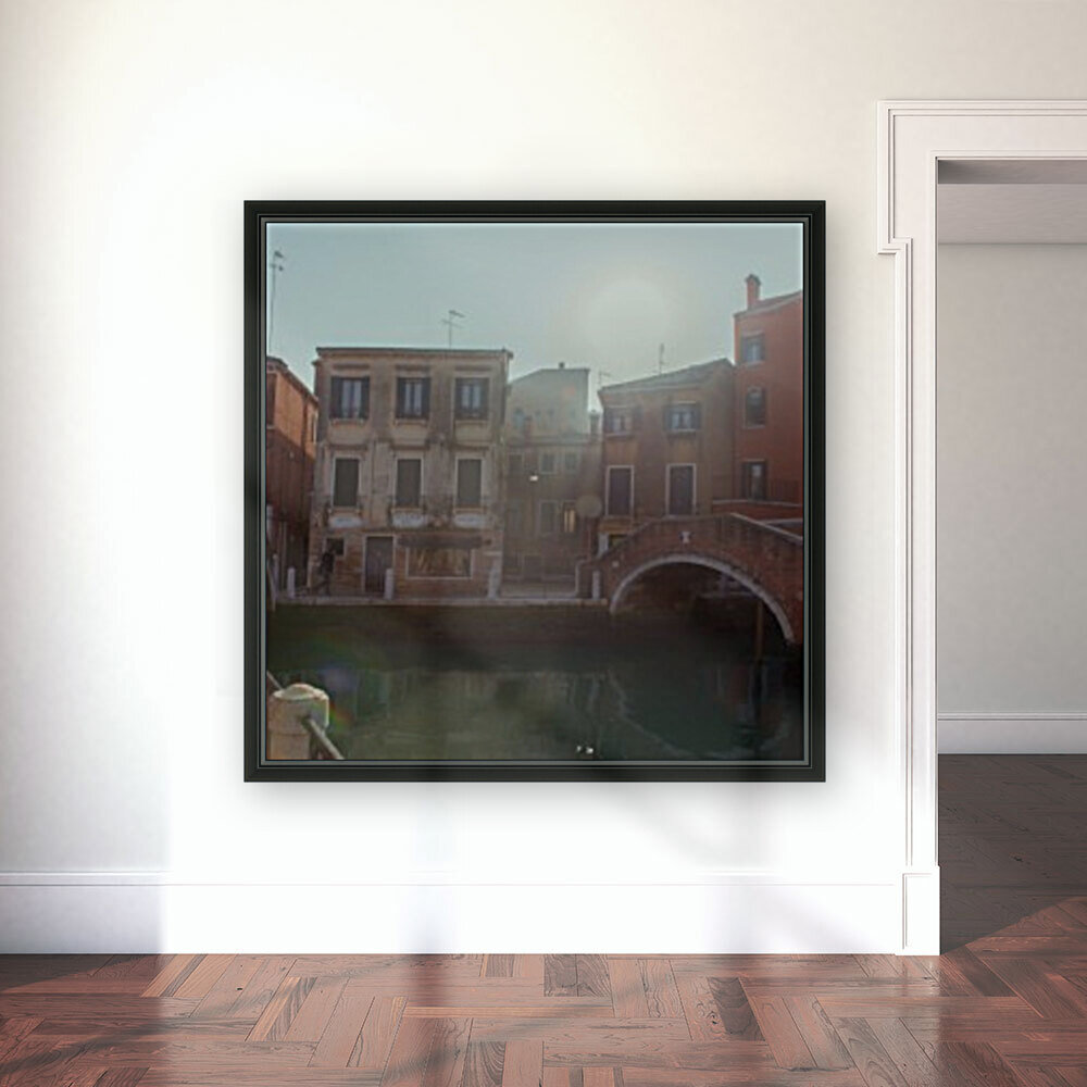 Venice Reproduction