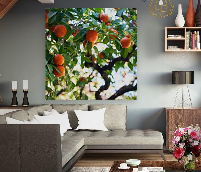 Orange tree II Reproduction