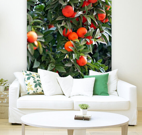 Orange tree III Reproduction