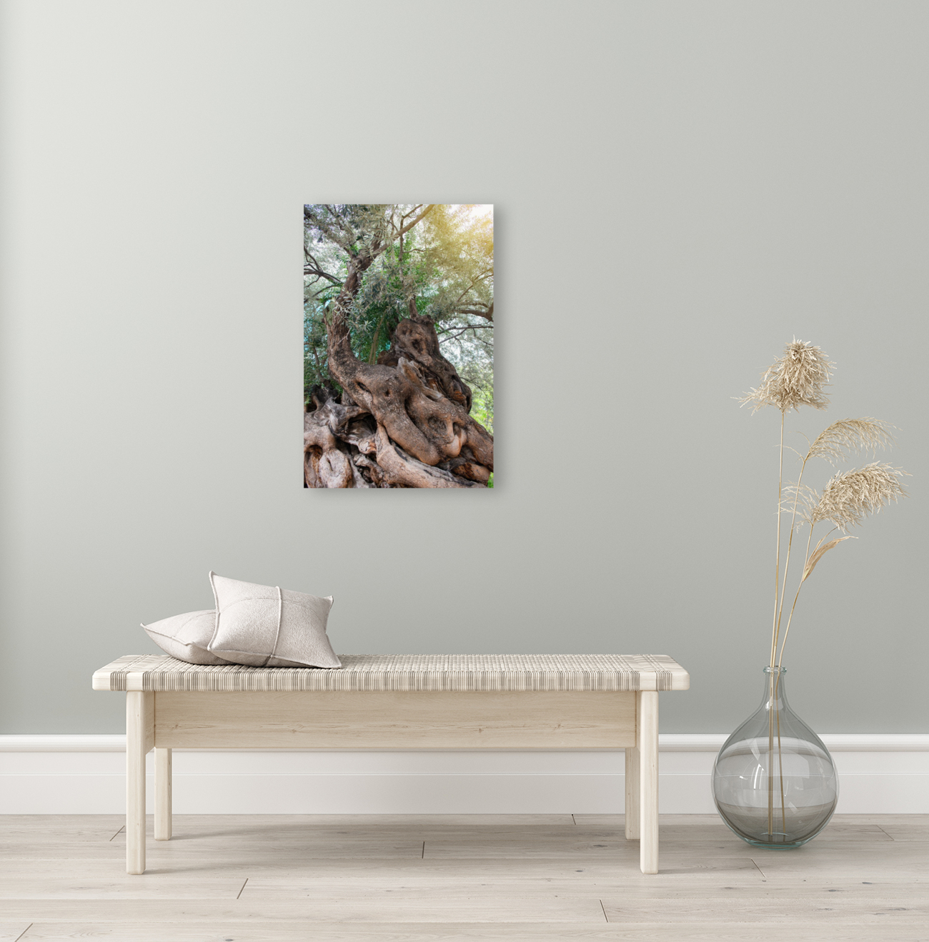 Olive tree Reproduction