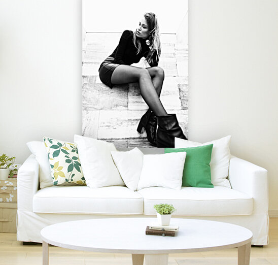 Fashion  Reproduction