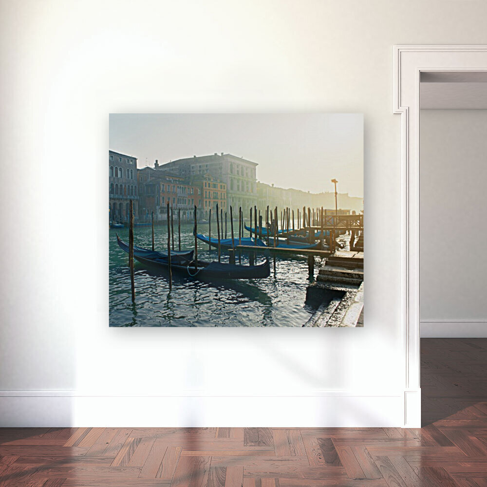 Venice V Reproduction
