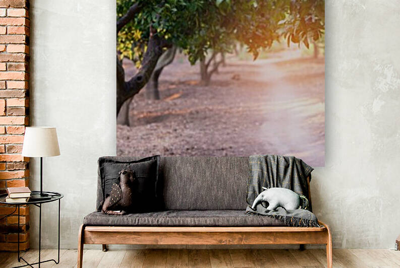 Sunset in an orange grove in Sicily by Aquamarine