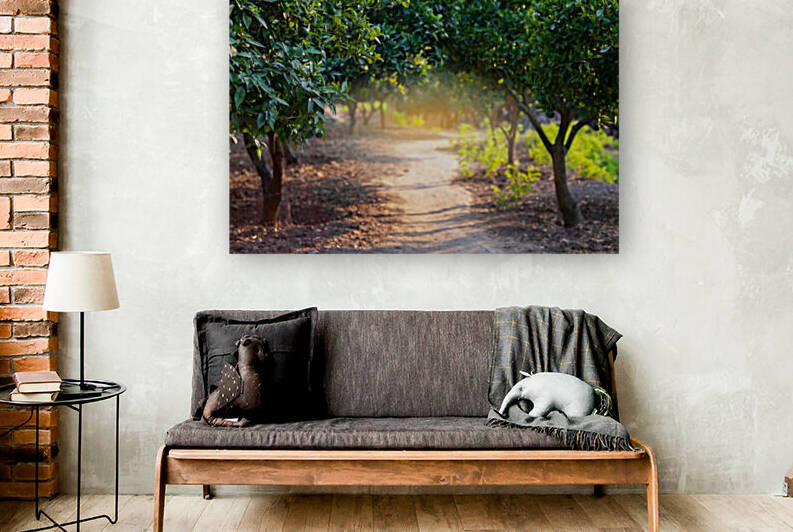 Orange grove II by Aquamarine