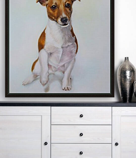 Dog Reproduction