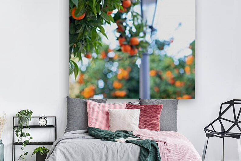 Orange tree IV by Aquamarine