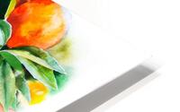 Watercolor oranges HD Metal print
