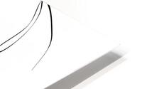 Cat continuous line art III HD Metal print