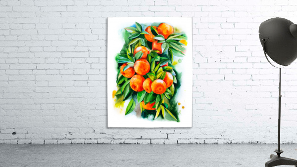 Watercolor oranges Wall Preview